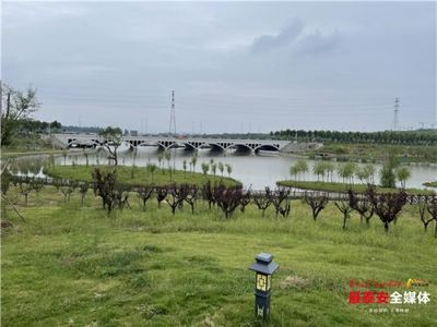 泰安市人民政府 今日泰安 楊洪濤到泰山區、岱岳區調研